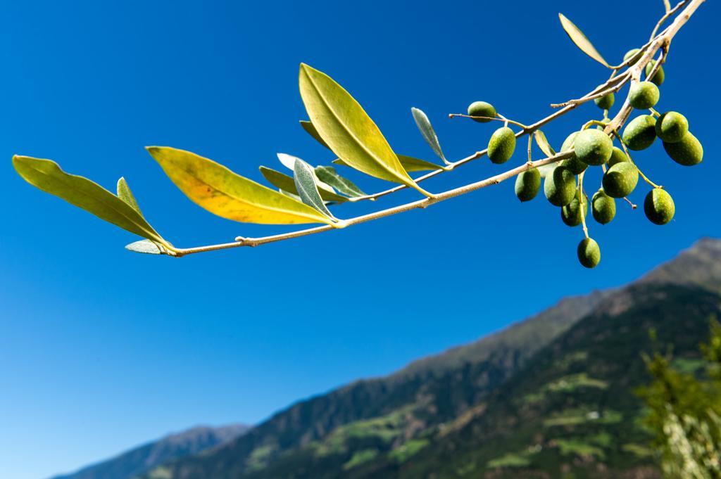 Biohof Niedereben Villa Rabla Ngoại thất bức ảnh